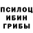Псилоцибиновые грибы GOLDEN TEACHER Mykola Kozinchuk