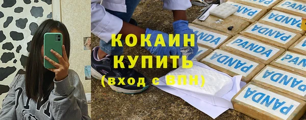 индика Абаза