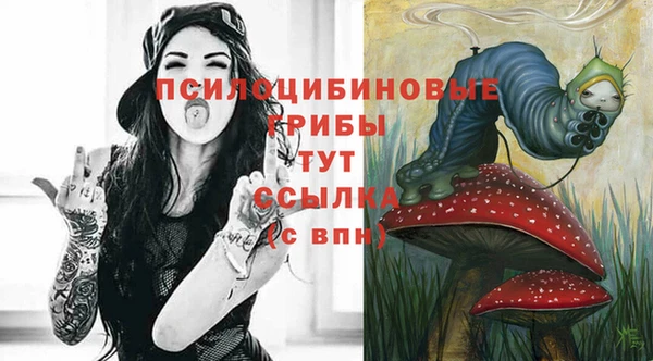 индика Абдулино