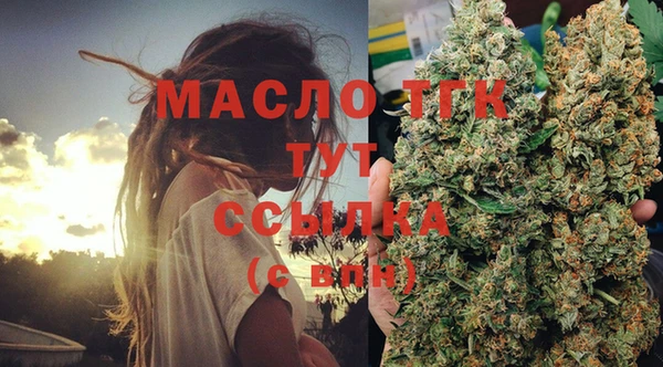 индика Абдулино