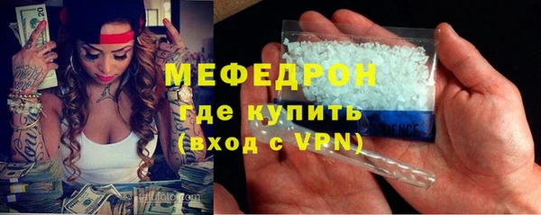 индика Абаза