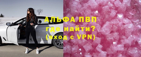 индика Абаза