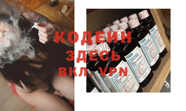 индика Абаза