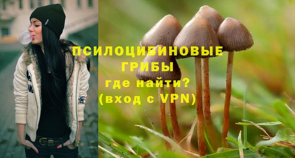 индика Абаза