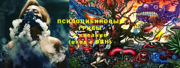 индика Абаза